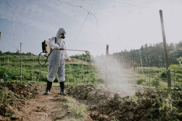Best Best Pest Control Companies  in Oglala, SD