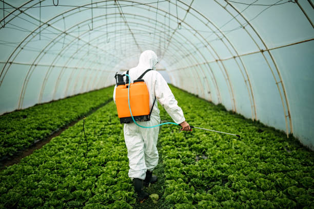 Best Pest Inspection Near Me  in Oglala, SD