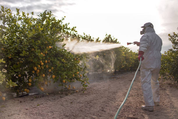 Best Pest Prevention Services  in Oglala, SD