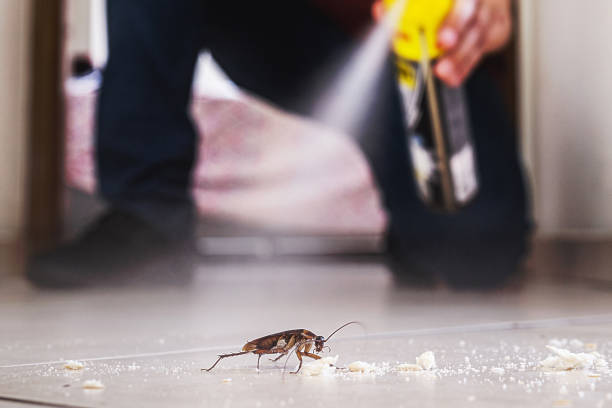 Wildlife Control Services in Oglala, SD